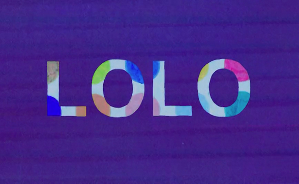 What is the meaning of the word LOLO? 
